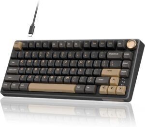 RK ROYAL KLUDGE R75 Wired Gaming Keyboard